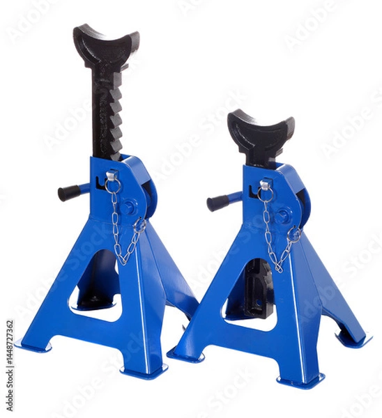 Obraz Jack stands