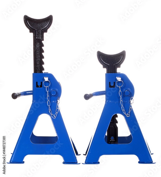 Obraz Jack stands