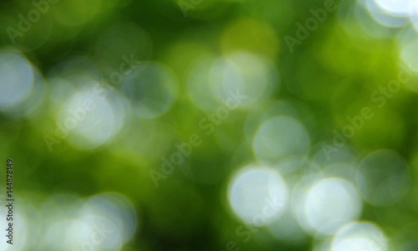 Fototapeta Green blurred background