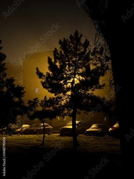 Obraz silhouette of a tree