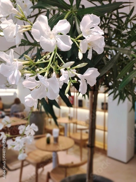 Obraz flowers on the table