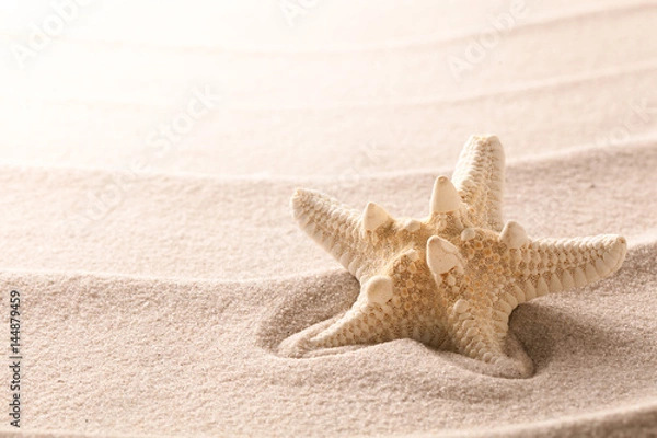 Fototapeta A tropical starfish laying in the beach sand. Sandy texture with sea star fish and copy space. Concept  for summer vacation or exotic holiday...
