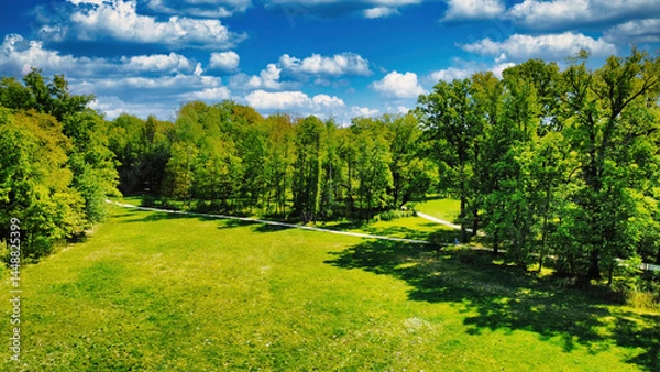 Obraz spring landscape with trees