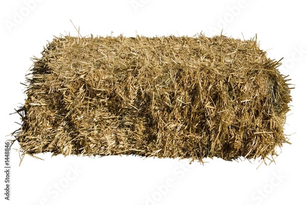 Fototapeta Bela słomy