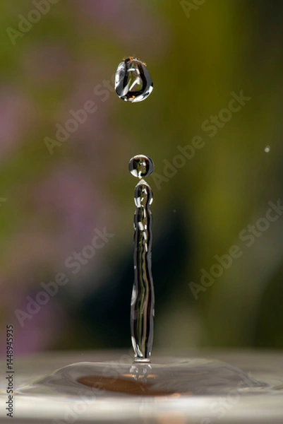 Fototapeta Tropfen / Drops