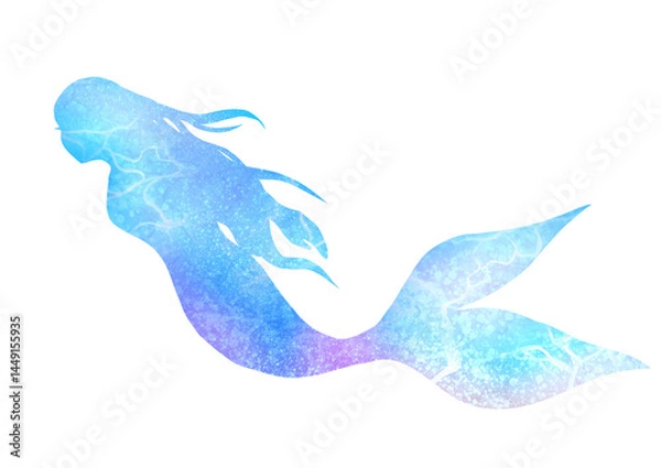 Obraz 綺麗な人魚のシルエット素材