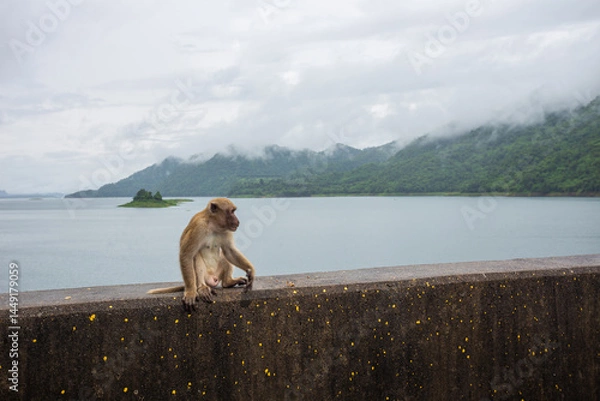 Fototapeta Vajiralongkorn Dam, formerly known as Khao Laem Dam, is the first rockfill dam in Thailand. The dam crest is a beautiful viewpoint located in Thong Pha Phum District, Kanchanaburi.