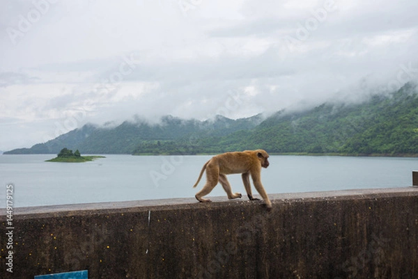 Fototapeta Vajiralongkorn Dam, formerly known as Khao Laem Dam, is the first rockfill dam in Thailand. The dam crest is a beautiful viewpoint located in Thong Pha Phum District, Kanchanaburi.