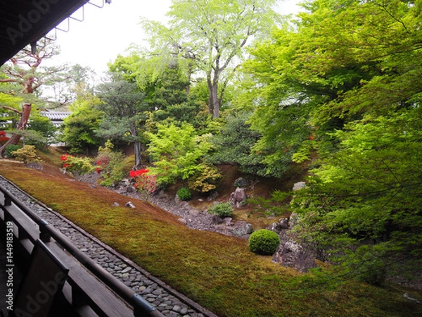 Obraz 京都　相国寺　裏方丈庭園