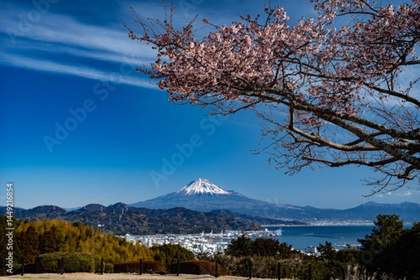 Obraz 富士山fujisan