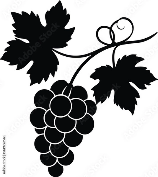 Obraz grape vine silhouette vector on white background   