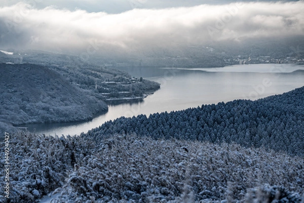 Obraz 雪景色の森と湖