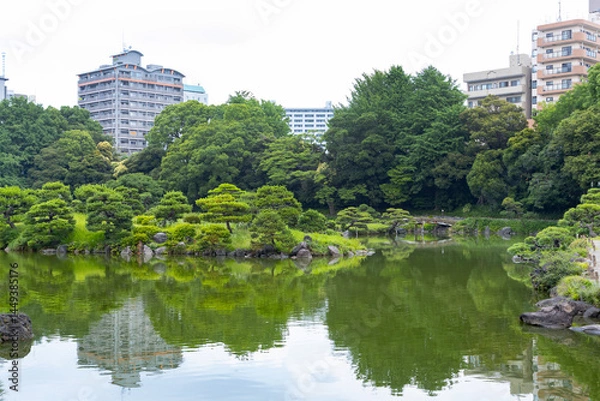 Obraz 初夏の清澄庭園
