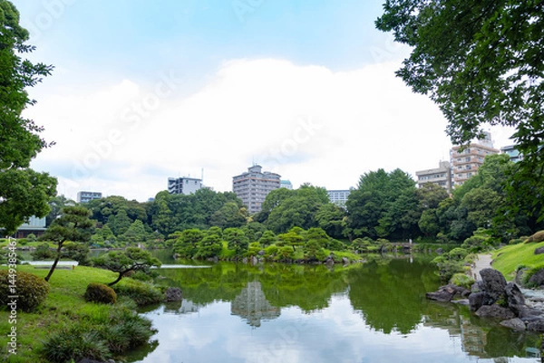 Fototapeta 初夏の清澄庭園