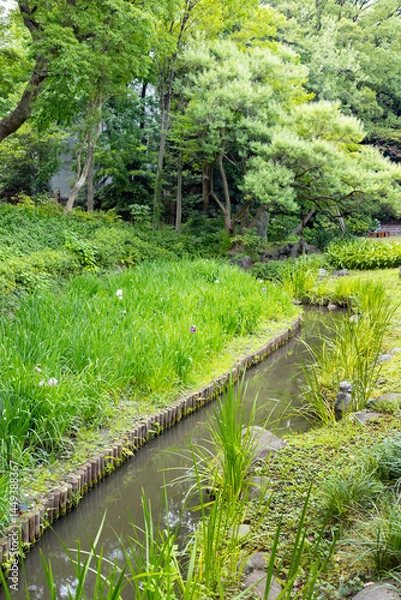 Obraz 初夏の清澄庭園