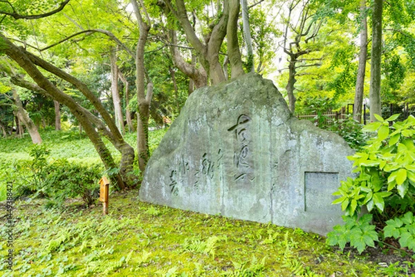 Obraz 清澄庭園　芭蕉の句碑