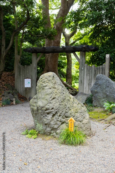 Obraz 清澄庭園　伊豆磯石