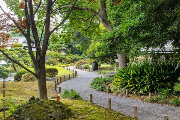 Obraz 初夏の清澄庭園