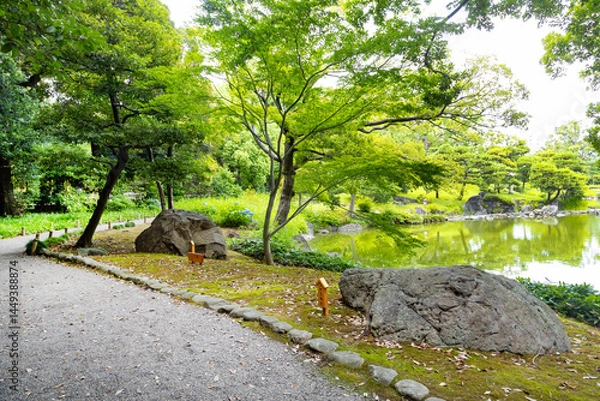 Fototapeta 初夏の清澄庭園