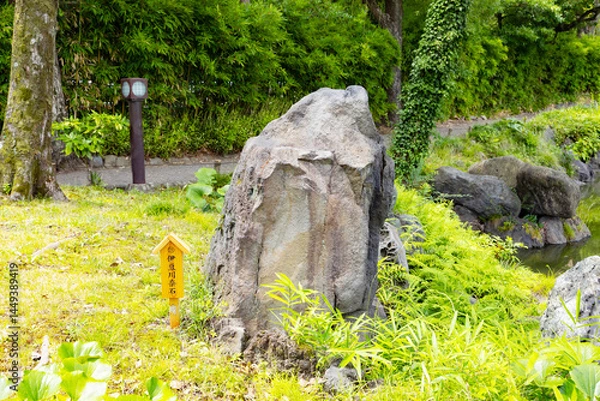 Obraz 清澄庭園　伊豆川奈石