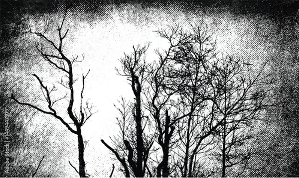 Fototapeta Silhouettes of bare branches of trees on grunge dark background. Misty forest. Gothic style illustration	
