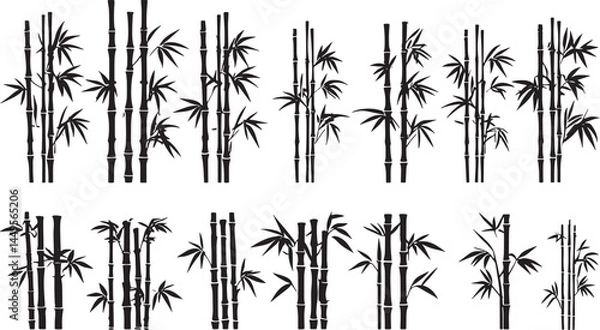 Obraz bamboo vector illustration