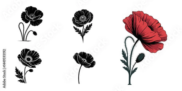 Obraz set of poppies, Poppy flower illustration vector silhouette icon on white background, Set of black silhouettes of decorative fresh blossoming poppy flowers with steam and leaves. Hand drawn outline.