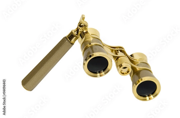 Obraz Modern Opera Glasses