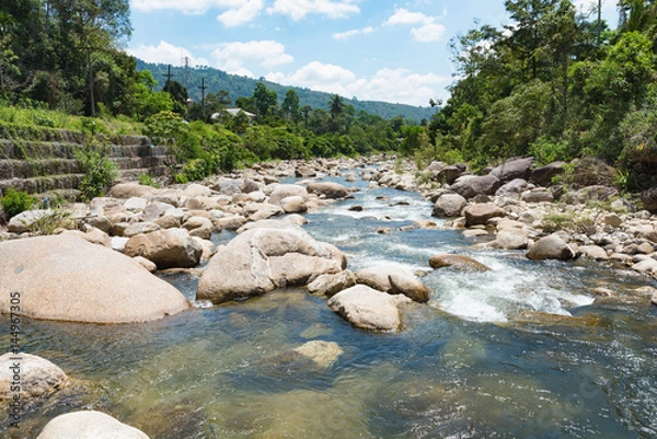 Fototapeta flowing mountain stream with transparent water and stones