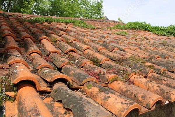Fototapeta Toiture à nettoyer, avec mousses et lichens