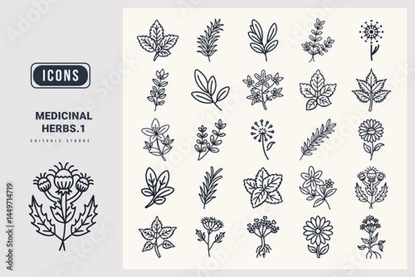 Fototapeta Medicinal herbs icon set Lemon Balm, St. John’s Wort, Rosemary, Thyme, Sage, Dandelion, Milk Thistle, Nettle, Valerian Root, silhouette icons.