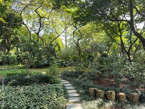 Obraz Garden path with stone steps leads through a lush, green, and vibrant landscape.