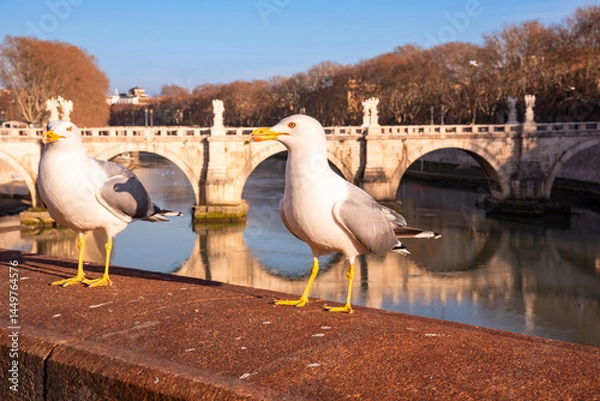 Obraz View of bridge in Rome city, Italy
