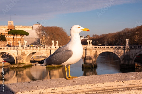 Obraz View of bridge in Rome city, Italy