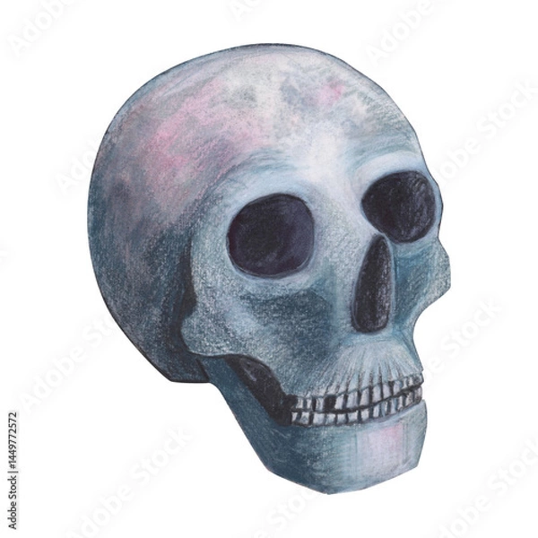 Obraz Scull gothic magical texture isolated on white background. Watercolor hand drawn esoterics sketch skull illustration. Art for design mystical halloween witch decoration, scary card