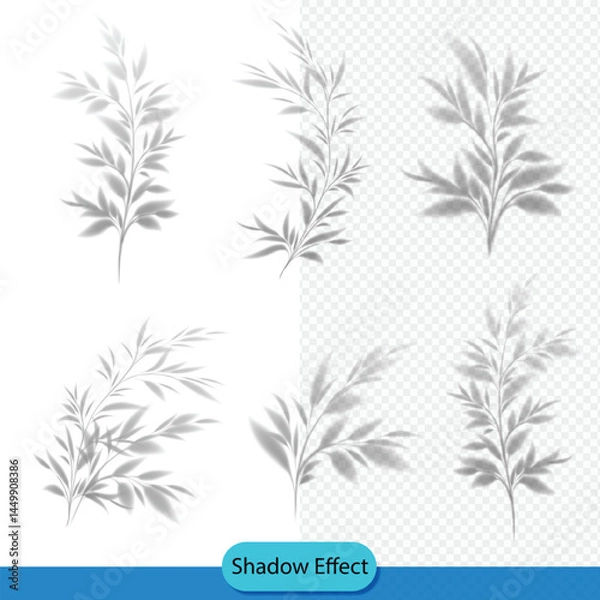 Obraz set of vector tree shadow