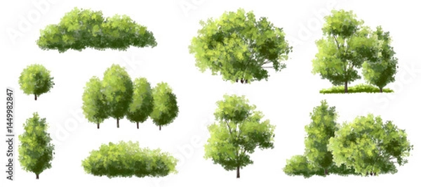 Fototapeta  Vector watercolor green  tree or forest side view isolated on white background for landscape and architecture drawing,elements for environment or and garden,Shrub for section