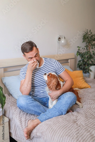 Fototapeta man suffers from allergy and sneezes near dog on bed. he uses paper tissues. health concept, veterinarian, allergist.