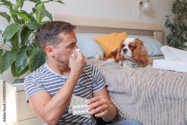 Fototapeta man with animal hair allergy uses tissues and looks upset near dog on bed. health concept