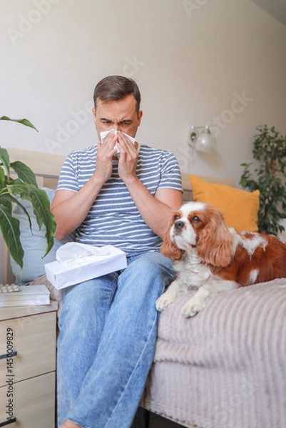 Fototapeta man with animal hair allergy holds tissues and looks upset near dog. health concept, veterinary services, allergy help.