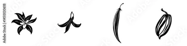 Fototapeta Detailed black and white illustrations of various plants and spices on a plain background