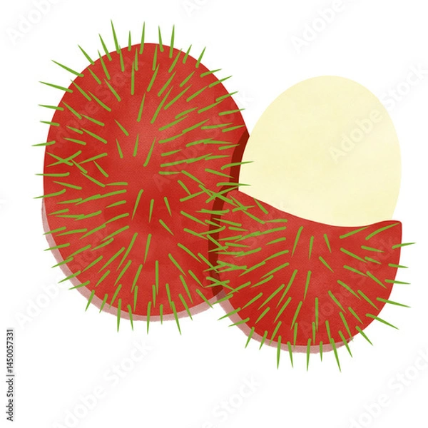 Obraz Rambutan fruit