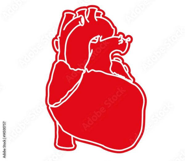 Obraz Heart