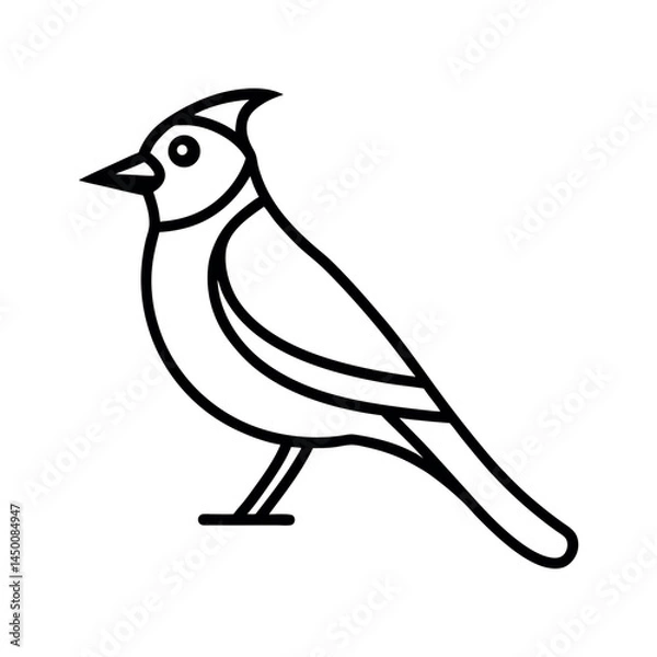 Obraz Blue Jay Line Art Vector