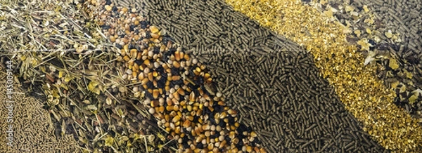 Fototapeta Różne rodzaje pasz dla zwierząt w tle.