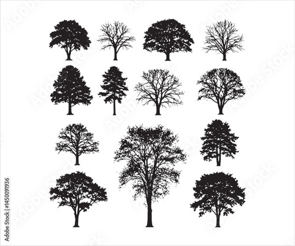 Fototapeta Intricate outlines of different trees against a white backdrop