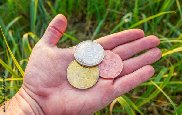 Obraz Bitcoin coin in hand on green grass background. Cryptocurrency trading, BTC mining and investing concept. Blockchain and financial technology. Crypto prices and charts, listed by market capitalization