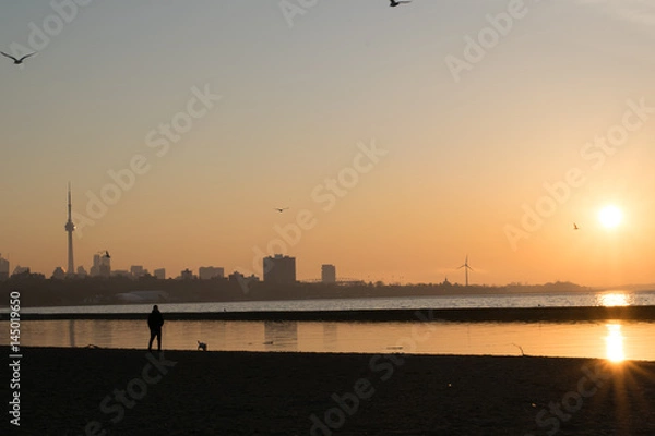 Fototapeta Walking the dog on the beach at sunrise with Toronto Skyline