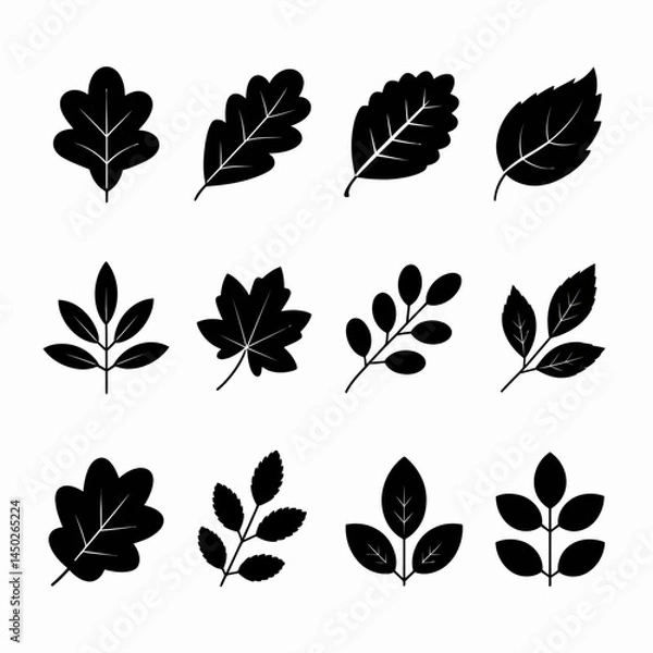 Fototapeta Silhouettes of twelve different leaf shapes are arranged in a grid