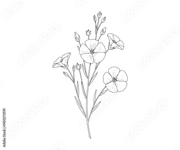 Fototapeta Flax and flowers. Vector stock illustration in EPS10 format. Outlined and isolated on a white background. Hand-drawn design.